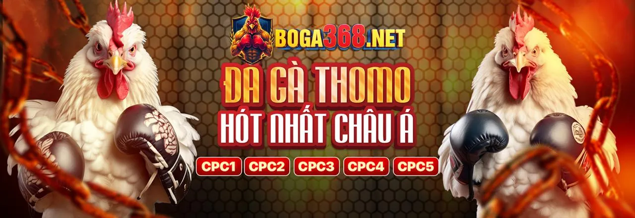 Sân đấu đá gà trực tuyến DT68 sôi động